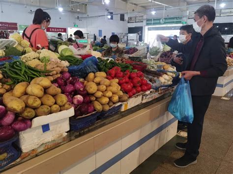 今日青岛蔬菜零售均价8.3元/公斤 较昨日下降3.5%-青岛西海岸新闻网