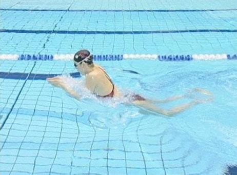 游泳健身丨竞技游泳的几种出发方式，你都了解过么？ - 知乎
