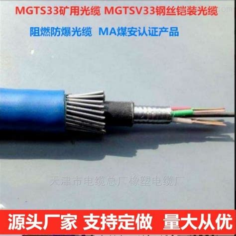 矿用阻燃光缆MGTSV-8B1煤矿用单模铠装光纤-化工仪器网
