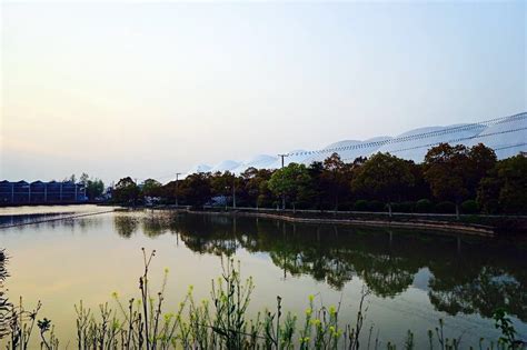 上海市崇明县50亩公共服务用地转让- 聚土网
