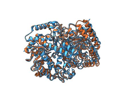 【3.4.1】蛋白质三级结构 - Sam