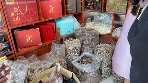 鹿茸真假对照图图片