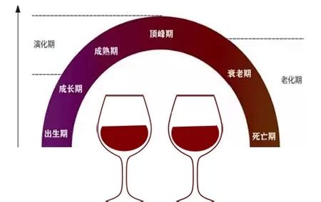 你知道什么是葡萄酒的演化、氧化与老化吗？-酒生活,酒常识,葡萄酒-佳酿网