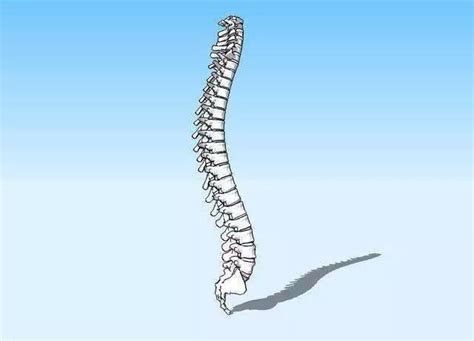 3D打印在脊柱中的应用：术前准备到术后实战-骨医小灶第十二期III -医学文章-唯医,allinmd