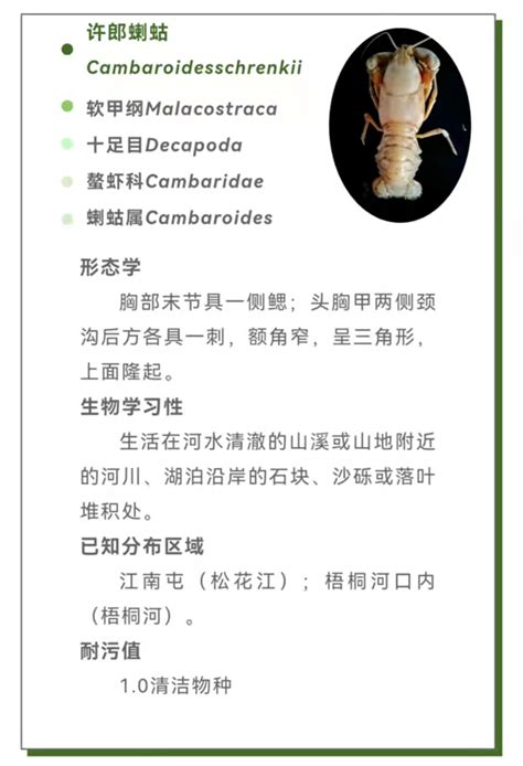 大型底栖动物的分类方法-搜狐大视野-搜狐新闻