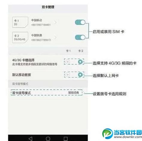 苹果iPhone14如何切换4G/5G iPhone14 5G网络切换方法【详解】-太平洋IT百科手机版