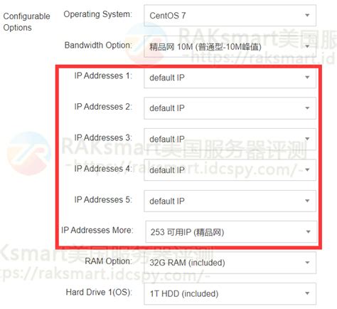 香港站群多ip服务器租用推荐及选择指南 - RAKsmart美国服务器评测