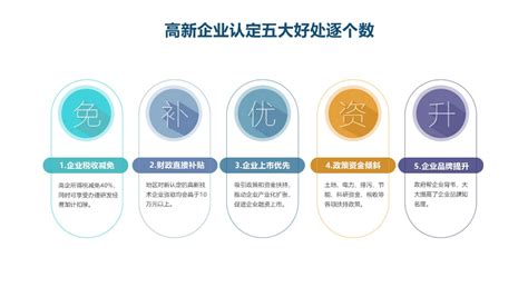 企业高新技术企业认定哪家正规「广东省华奇新科技供应」 - 数字营销企业