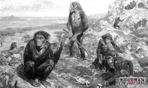 解析猿人进化论历史文明_曲阳素茁园林雕塑-站酷ZCOOL