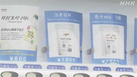 日本网购平台推出号称揉进100只蟋蟀乌龙面：里面有各种对人体有益成分-新闻资讯-高贝娱乐