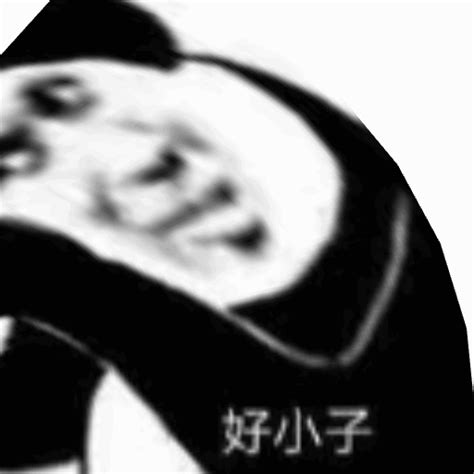 沙雕p图表情包图片
