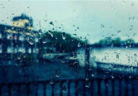 关于雨的诗句和赏析（表达对雨的喜爱与赞美的诗句）-互汇语录网