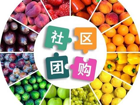 好吃的进口水果排行榜 进口水果销售排行及价格 - 鲜淘网