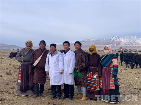 西藏低海拔地区旅游: 波密、林芝、拉萨、纳木错、羊湖