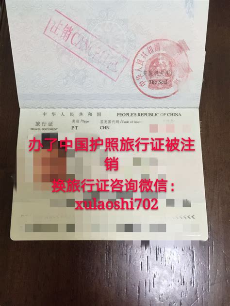 美宝上了户口在香港更换旅行证要被注销旅行证啦 | 赴美生子许老师