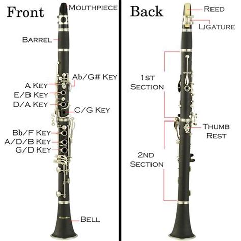 单簧管和双簧管的声音有什么区别？ - 知乎