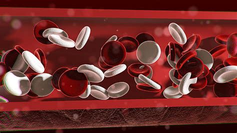 3D医学血管内血液流动视频素材视频特效素材-千库网