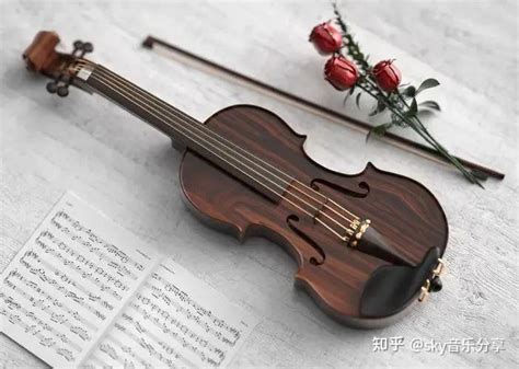 音乐小提琴背景图片-音乐小提琴背景素材下载-觅知网