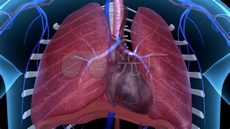 我国首部急救科普三维动画——心肺复苏，可救人一命！