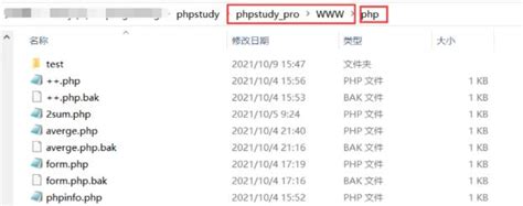 最新PHPstudy和PHPstorm配置运行教程_phpstudy与phpstorm搭建-CSDN博客