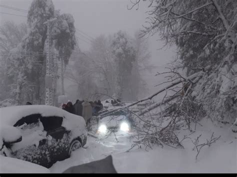 罕见1米暴雪袭巴基斯坦，会不会传到我国？分析：南方确可能下雪|巴基斯坦|南方|暴雪_新浪新闻