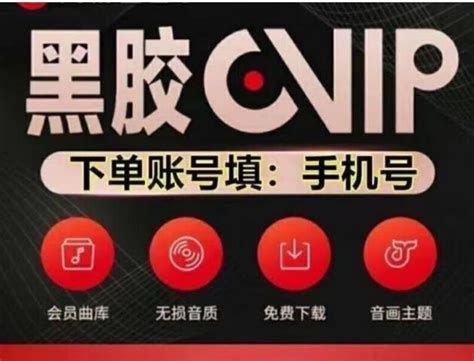 网易云音乐折扣会员优惠在哪查看？详解折扣会员优惠的获取方式 - EE聚惠