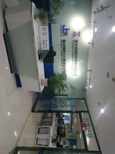 上海中电电子系统科技股份有限公司