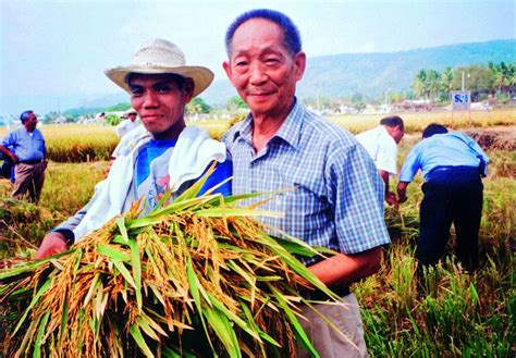 关于水稻，袁隆平还有这样一个心愿_北京日报网