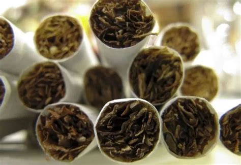 马龙区：烟叶生产“智慧路”，烟农走上“致富路” _马龙区人民政府门户网站