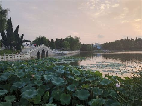 俱进_年初一早上的龙湖公园_淮南图片网