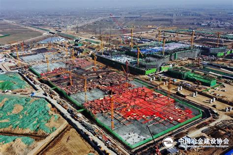 “好品菏泽”调研庄寨板材 助推转型发展-中国木业网