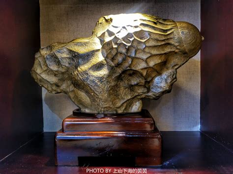 发现奇石的美·2017龙园创意奇石展_乾隆奇石博物馆