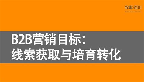 第一章：B2B行业门户营销推广基础知识（三）（市场营销b2b的例子）-悠易科技CDP