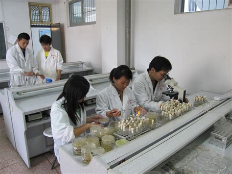 食品检测实验室布局规划-陕西西安【宏硕实验室设备官网】