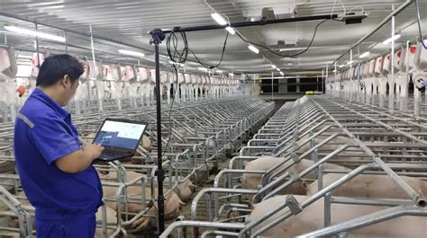 生猪养殖存巨大整合空间 神农集团产业链一体化促发展__财经头条