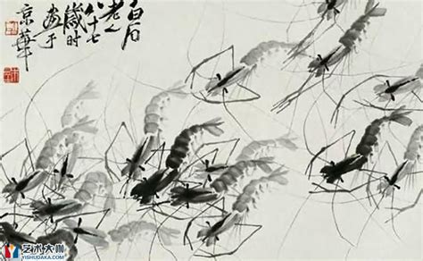 百虾图图片