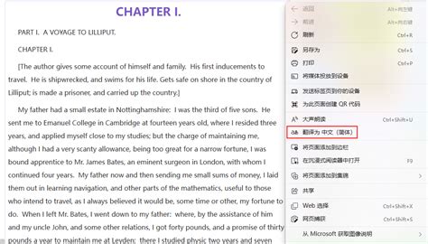 怎么设置英文网页变成中文-百度经验