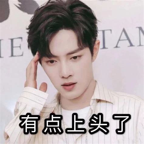肖战表情包晚安图片