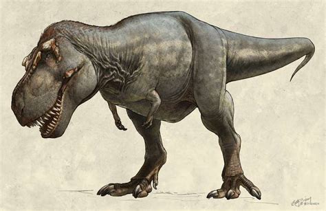 美国史密森尼博物馆将迎取罕见霸王龙骨骼化石 - 神秘的地球 科学|自然|地理|探索