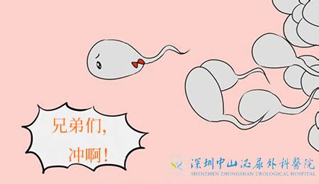 男性不育的病因有几类，能不能通过第二代试管婴儿解决-深圳中山泌尿外科医院