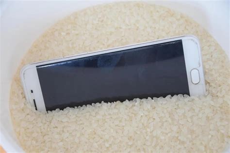 手机掉水里大米埋多久，手机进水了放米里多少时间合适