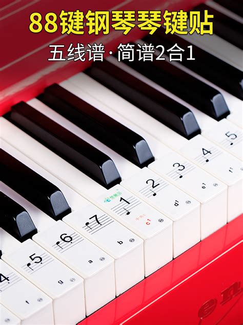 基础乐理-1-认识钢琴键盘 | SNTU科技