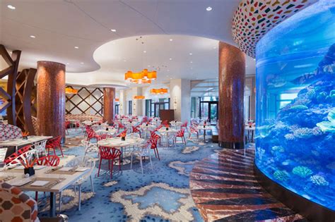 厦门海洋主题餐厅 食客边吃边看“美人鱼”表演_福田网