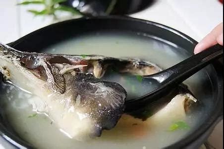 中华鲟鱼怎么吃最好吃（营养解馋的蒜烧鲟鱼最好吃，美味十足超过瘾） | 说明书网