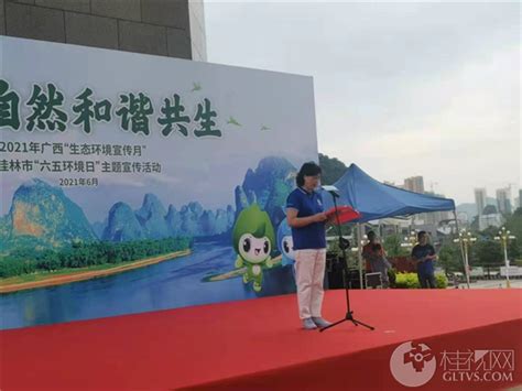 2023年全区生态环境科普工作交流会在桂林召开 - 图片新闻 - 广西壮族自治区生态环境厅网站