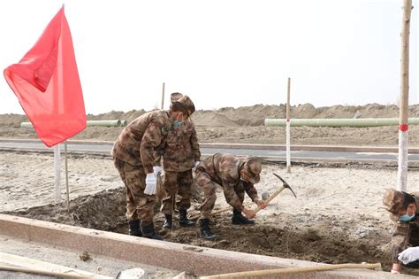 包含新疆生产建设兵团黄牛挂号方便快捷的词条