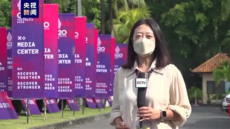 【图集】印尼巴厘岛进入“G20时刻”，富有当地特色的G20标识随处可见-新闻频道-和讯网
