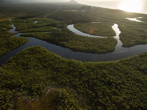 亚马逊 丛林图片_亚马逊 丛林图片下载_正版高清图片库-Veer图库