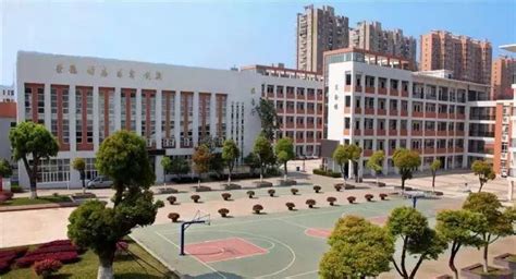 武汉各初中学校对口小学名单及历年中考成绩数据_小升初网