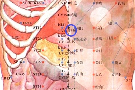 巨阙的准确位置图图片
